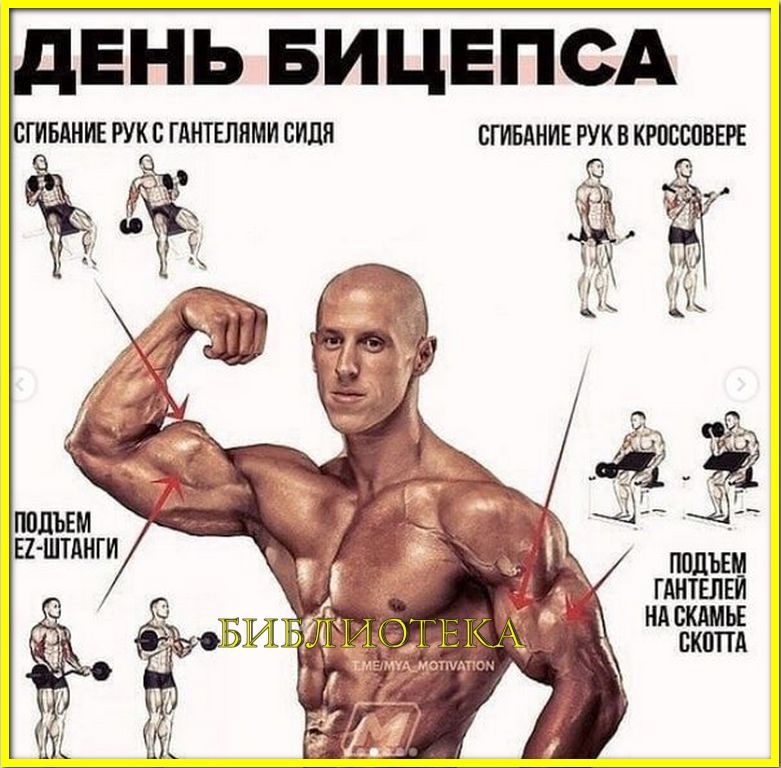 Ig14q qLXU - sport #601287