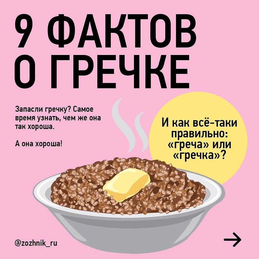 Полезные факты о гречке