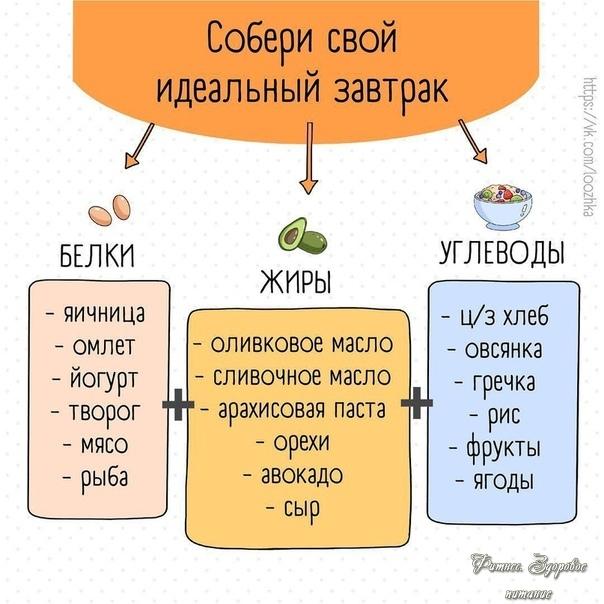 Шпapгaлкa пo фopмиpoвaнию paциoнa