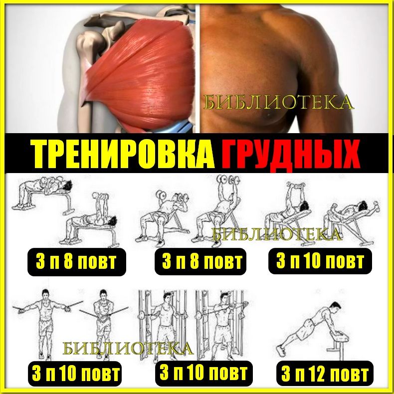 Wq8a2yVj0v8 - sport #600937