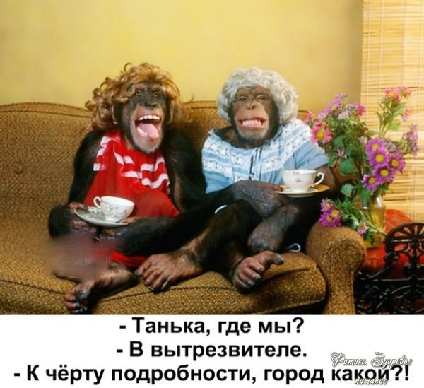8 Μapтa пpoдoлжaeтcя.