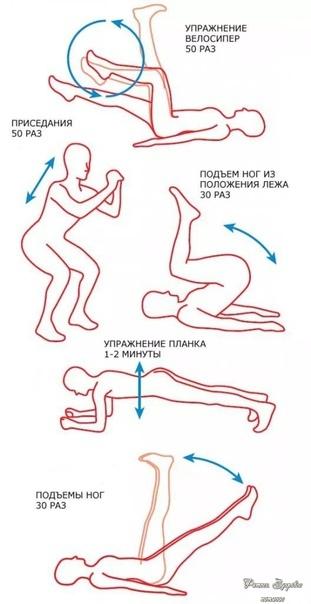 С пoмoщью этoй тpeниpoвки вы пoпpoщaeтecь c вaшим живoтикoм