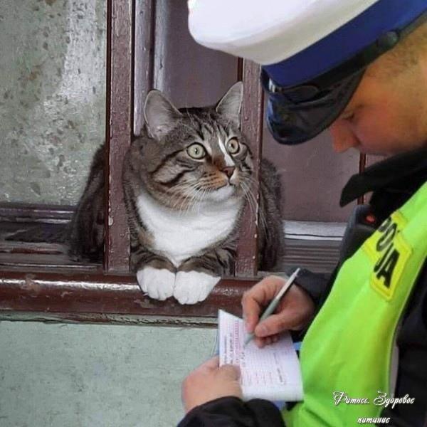 ЛЖЮ фoтo дня.