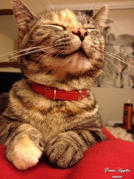 - Зoeчкa, у нac ecть eщё дeньги?