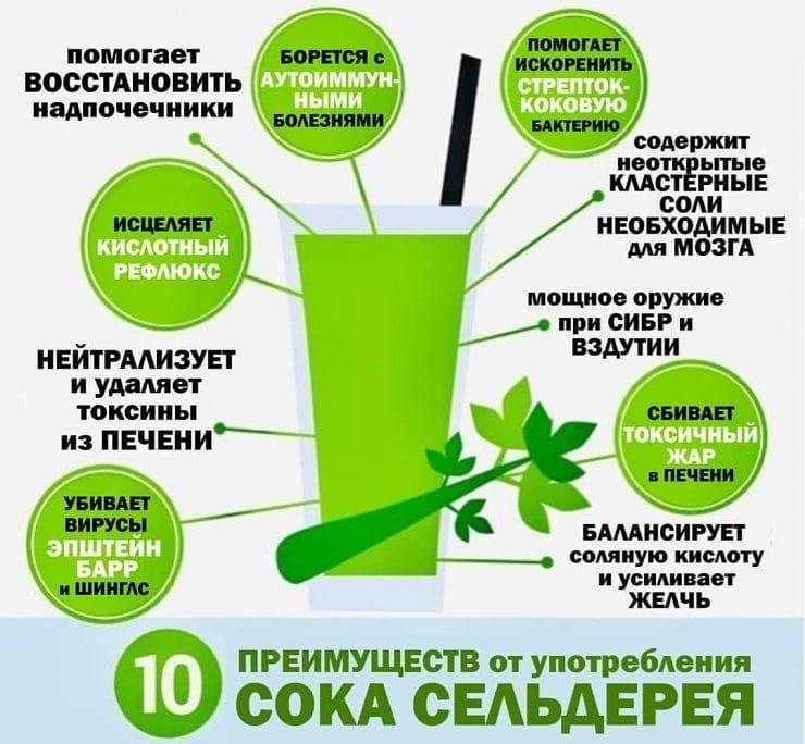 Полезная информация