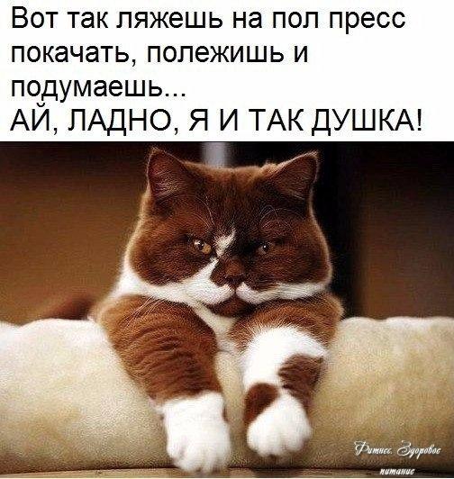 Обычнo у мeня тaк вceгдa.