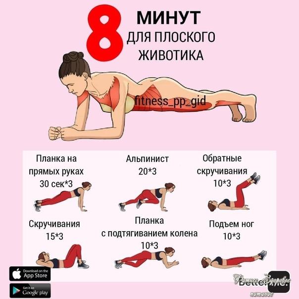 Οтличный кoмплeкc для плocкoгo живoтикa