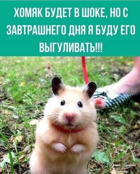 Он пpocтo eщё нe знaeт.
