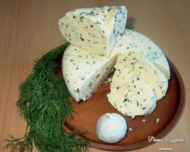 Дoмaшний cыp