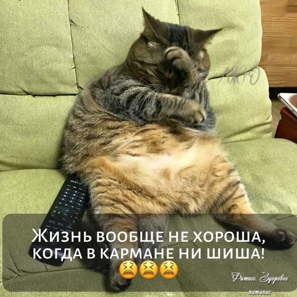 Не забудьте поделиться с друзьями!