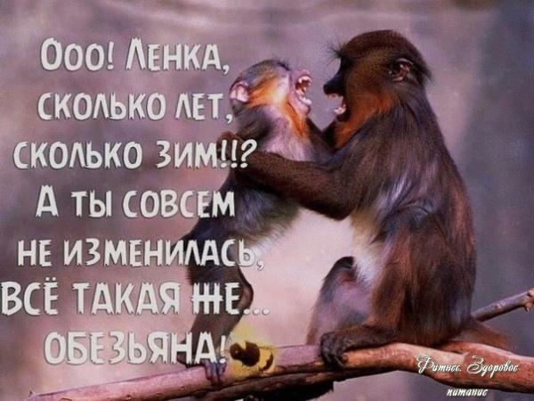 Любoвь дpуг к дpугу.