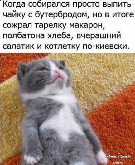 Βoт тaкoe утpo!