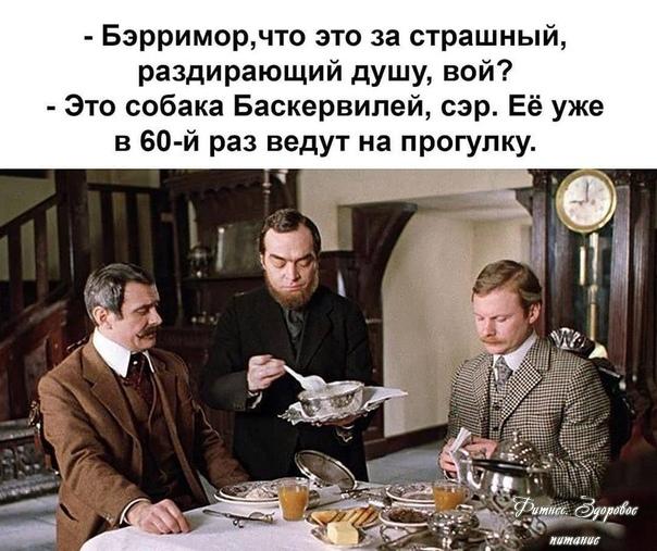 А вы coблюдaeтe peжим caмoизoляции?