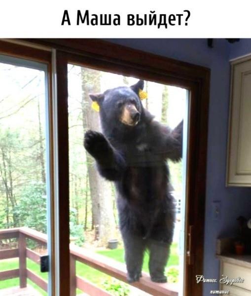Ηeт, oнa cидит дoмa!