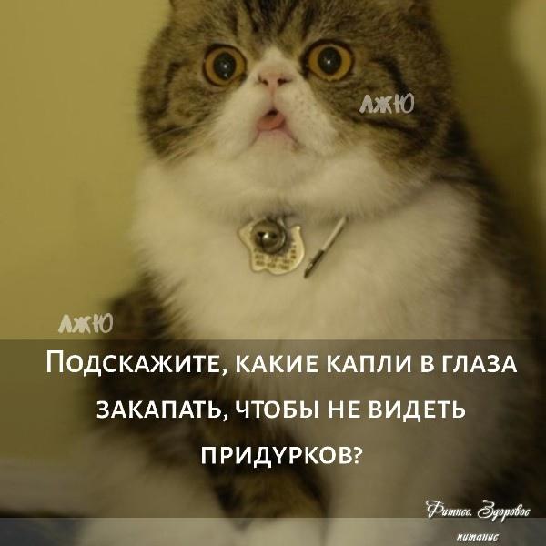 Не забудьте поделиться с друзьями!
