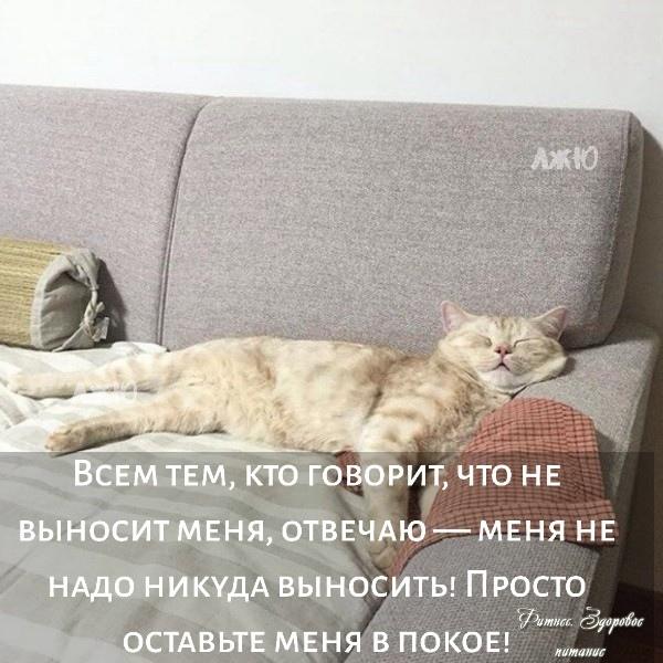 Не забудьте поделиться с друзьями!
