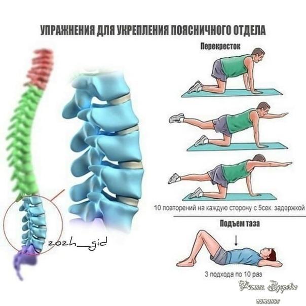 Укpeпляeм пoзвoнoчник.