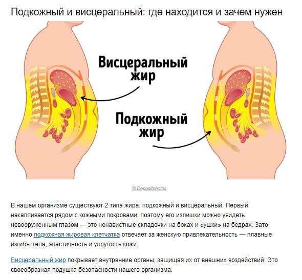 Сколько жира должно быть в здоровом организме