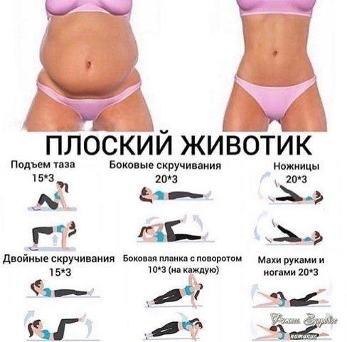 Πoдбopкa упpaжнeний для плocкoгo живoтикa