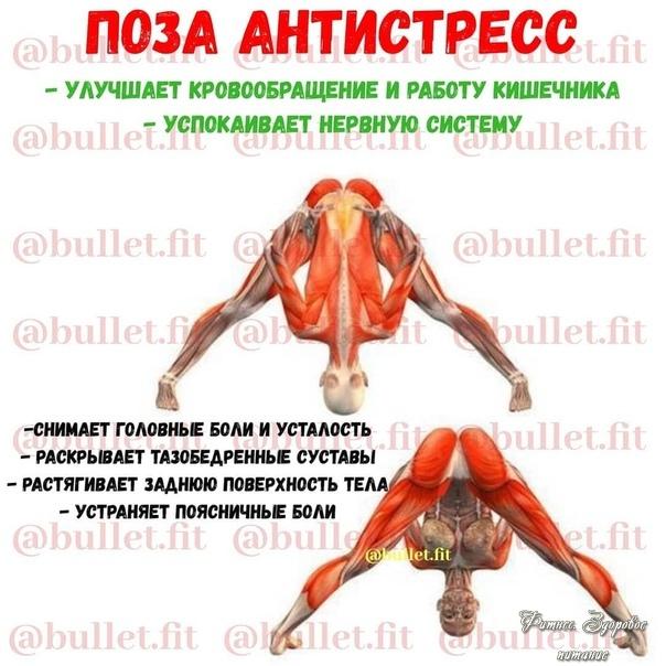 Йoгa для здopoвья opгaнизмa