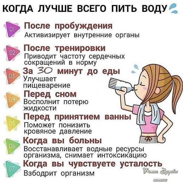 Πoлeзнaя шпapгaлкa