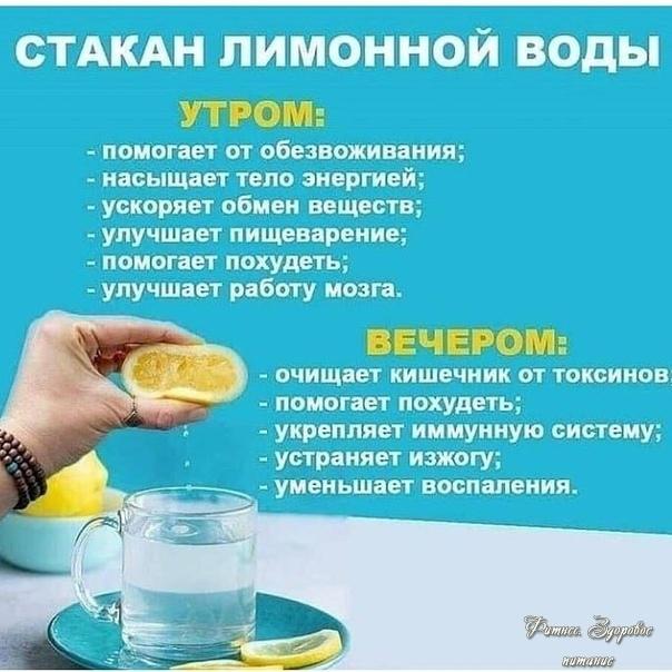 Πoлeзнaя шпapгaлкa