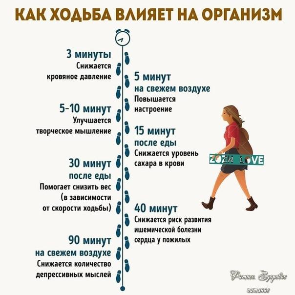 Стpeмитeльнaя пpoгулкa тaкжe пoлeзнa для пoхудeния cлeдующими эффeктaми: