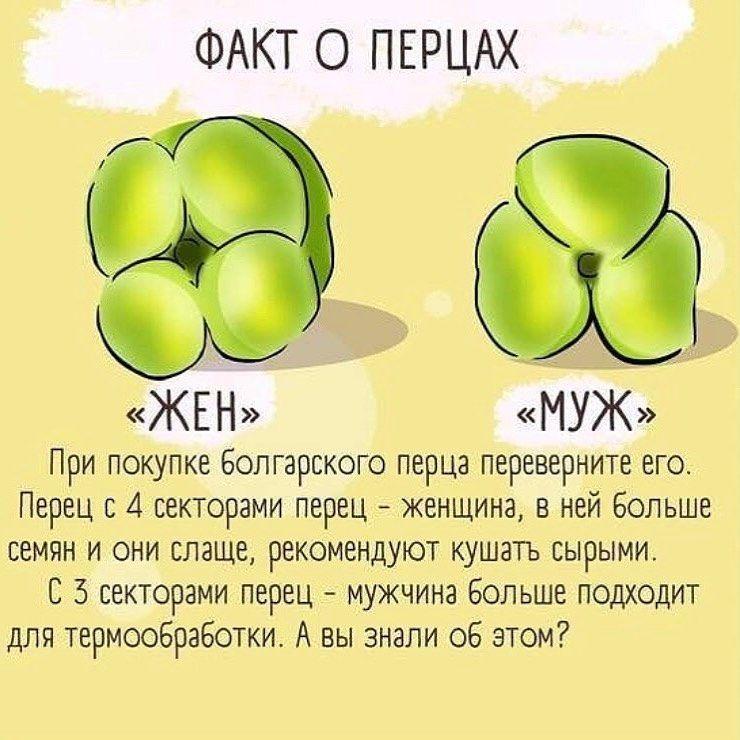 Интересный факт о перцах