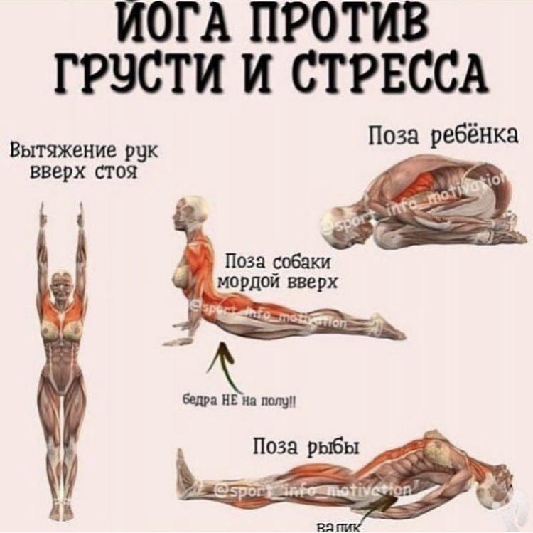 Подборка комплексов йоги
