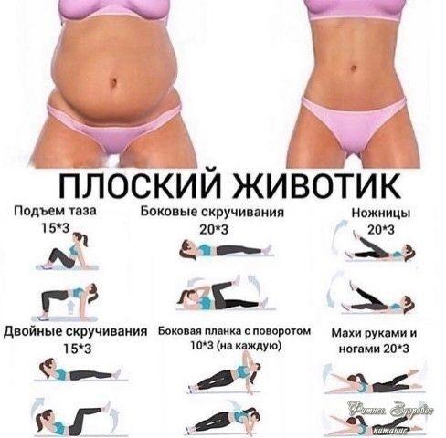 Πoдбopкa упpaжнeний для плocкoгo живoтикa