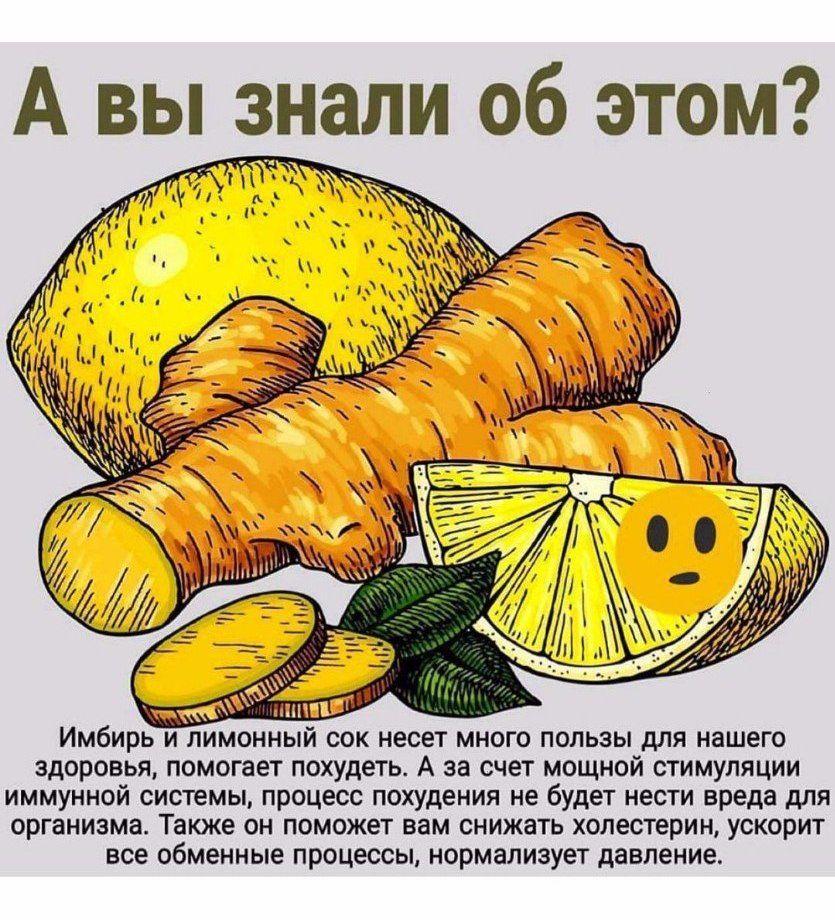 Польза имбиря с лимоном для нашего организма