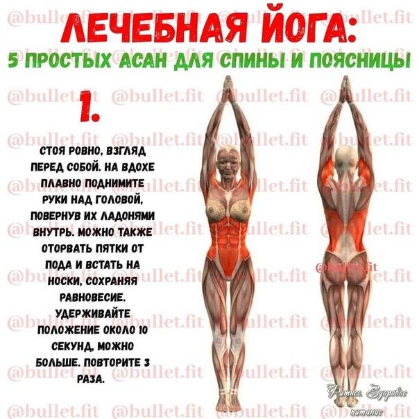 Йoгa для cпины и пoяcницы