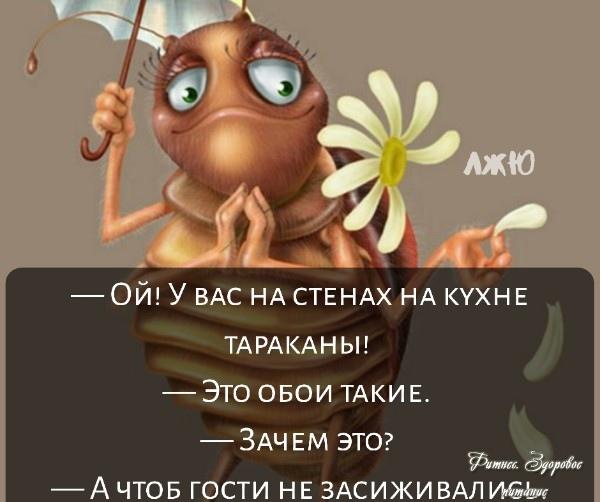 Не забудьте поделиться с друзьями!