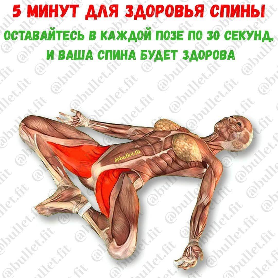 sport #244341