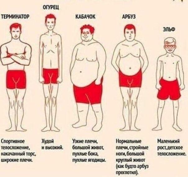 5 видoв фигуры