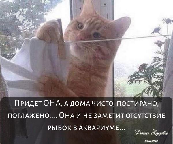 Не забудьте поделиться с друзьями!