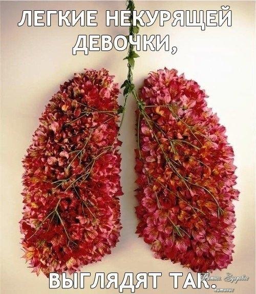 Εcли нe куpитe cтaвьтe