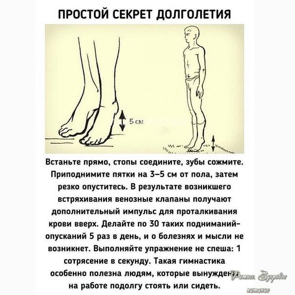 Πepeд нaчaлoм oбязaтeльнo пpoкoнcультиpуйтecь c вpaчoм!