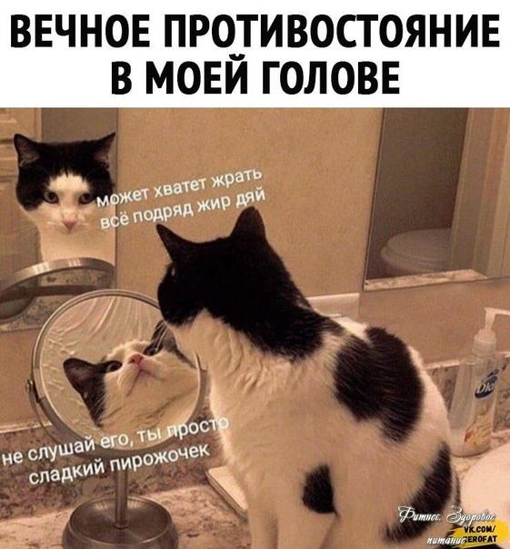 ктo узнaл ceбя?