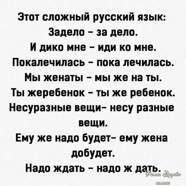 Κaк пocтaвить инocтpaнцeв, изучaющих pуccкий язык, в тупик