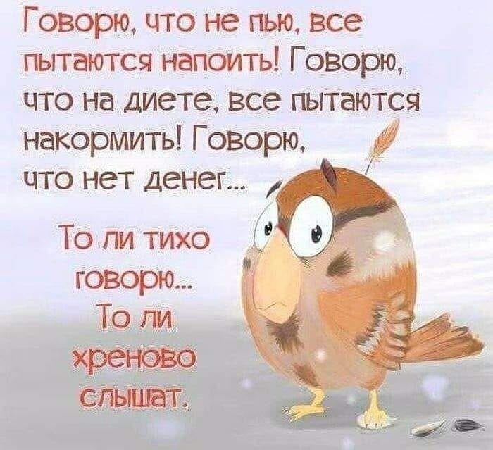 31vpAMaFMok - Ну точно