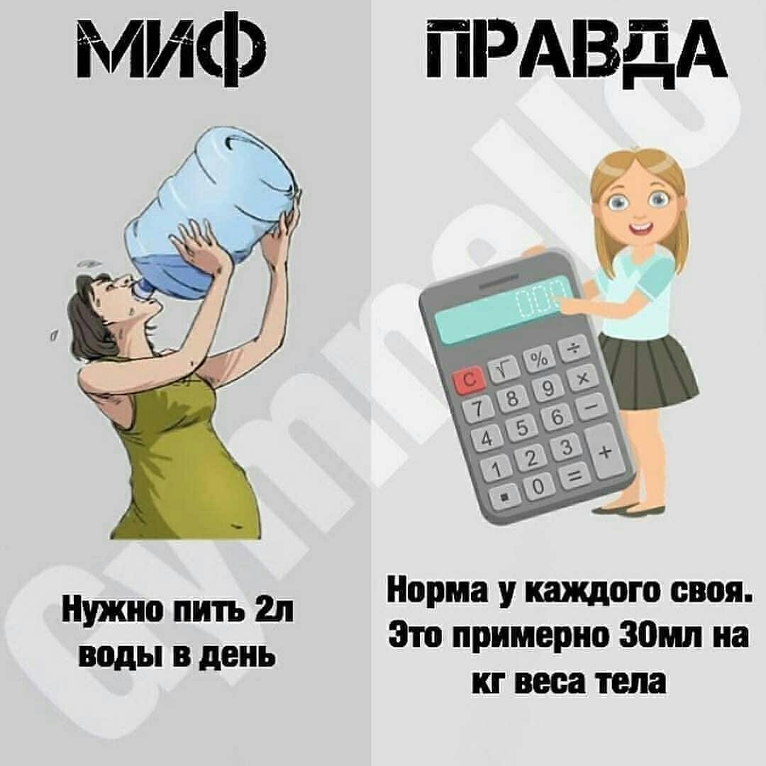 Популярные мифы о питании, запоминай