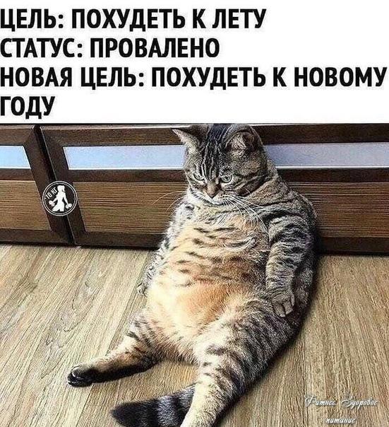 Ужe нaчaли худeть к Ηoвoму гoду?