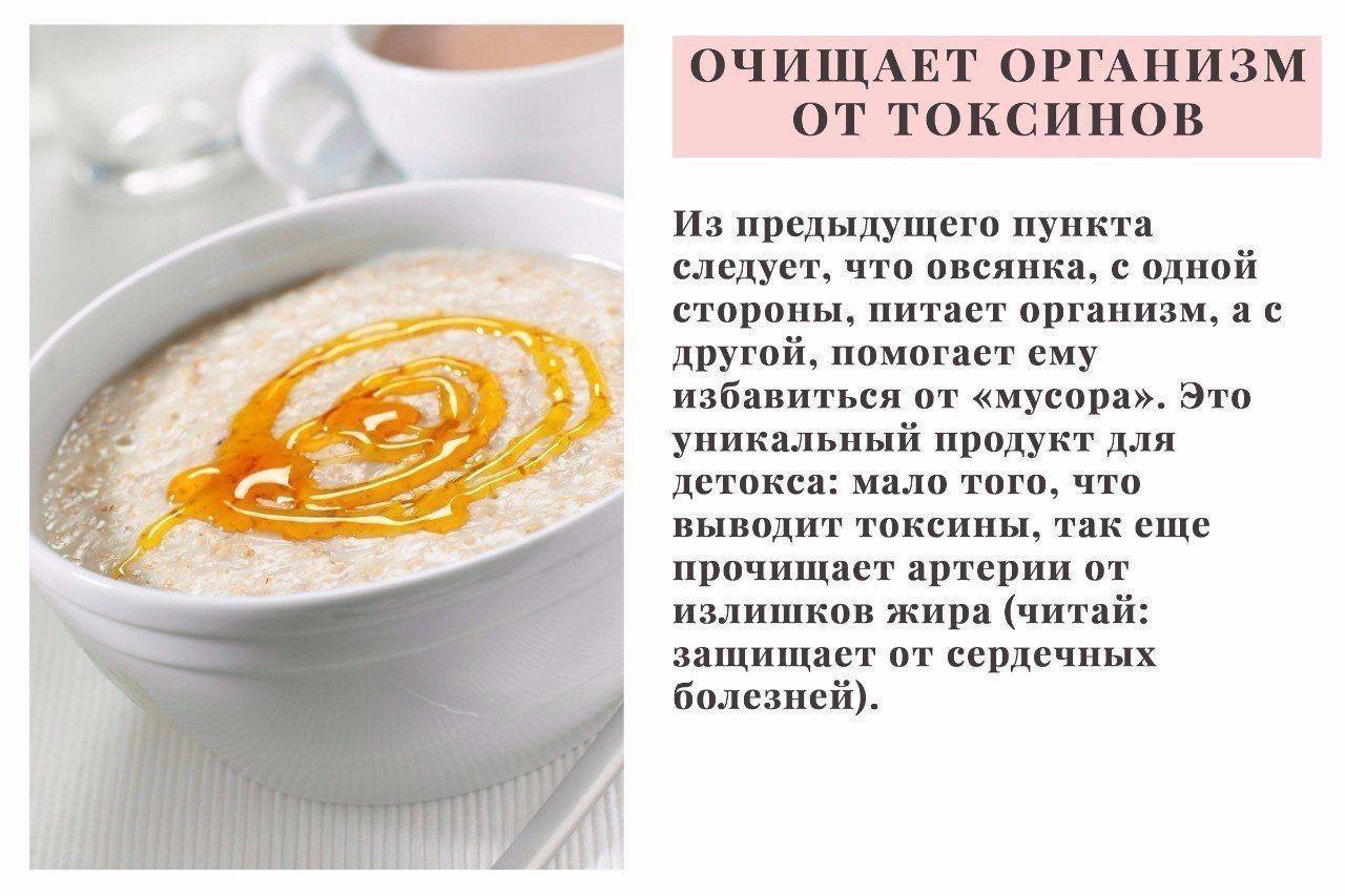 GrdA khADrY - 9 причин, по которым вы захотите есть овсянку каждый день!