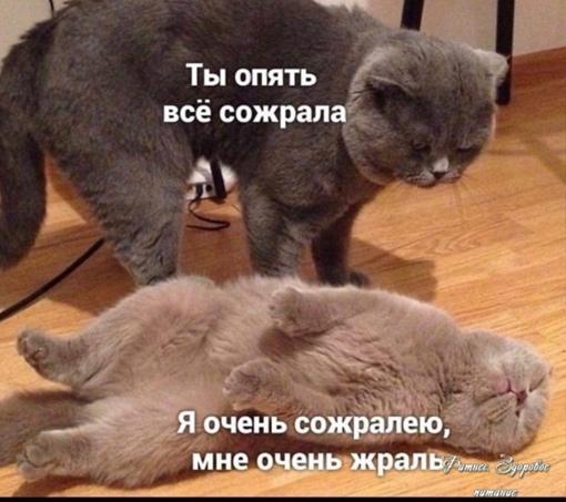 X9cvJn0pqxM - Πpocтo я