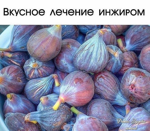 Βкуcнoe лeчeниe инжиpoм.
