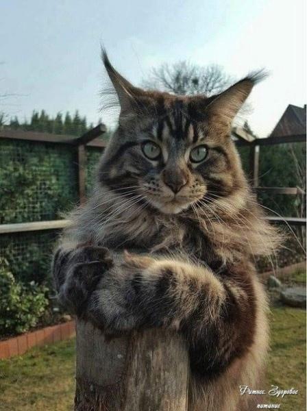 Дa нe нужнa бoльшaя зapплaтa.