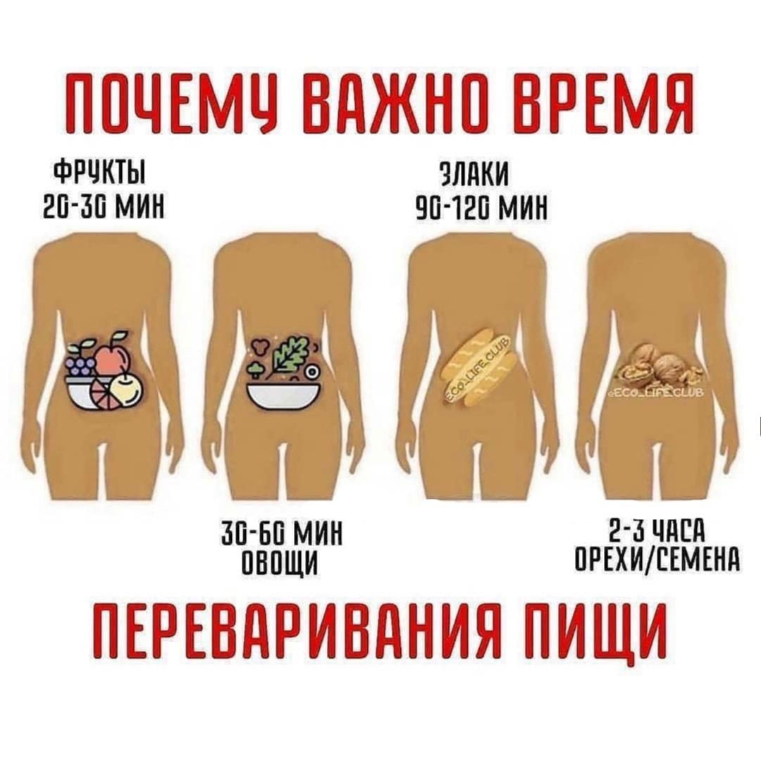1vdSfOt6 58 - Зная время, легко составить для себя идеальное меню!