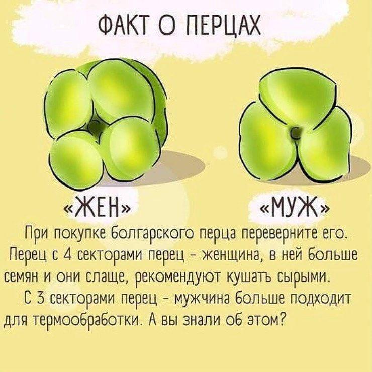 QPBePK2BCYk - Интересный факт о перцах