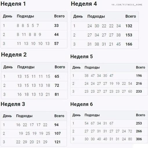 ZR4CaTGfipk - КАЧАЕМ ПОПУ С ПРОГРАММОЙ "200 ПРИСЕДАНИЙ" 